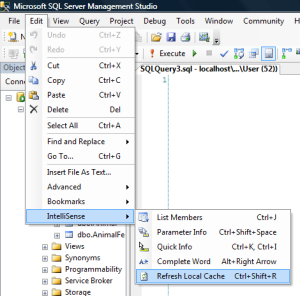 SQL Server IntelliSense Refresh Cache
