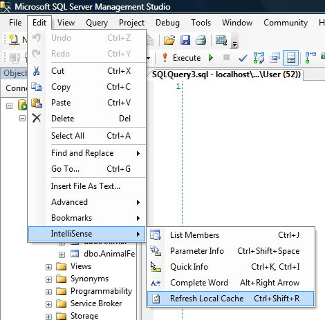 SQL Server IntelliSense Refresh Cache